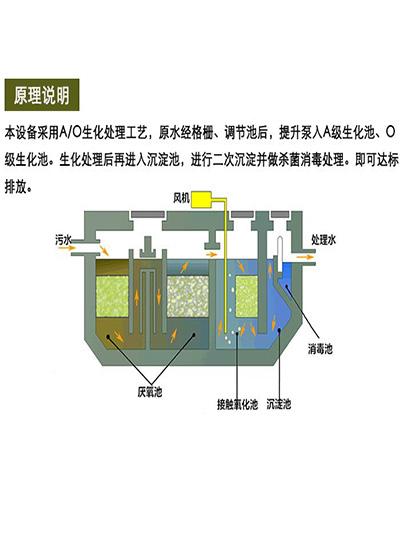 Application of integrated sewage equipment in rural sewage